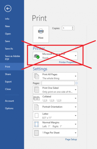 Adobe Acrobat side bar with printing instructions.