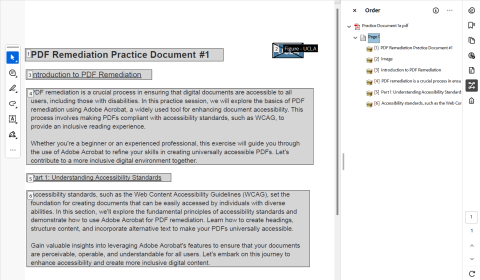 Manual overview of practice PDF remediation document.