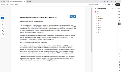 Document for testing PDF remediation in Adobe Acrobat.